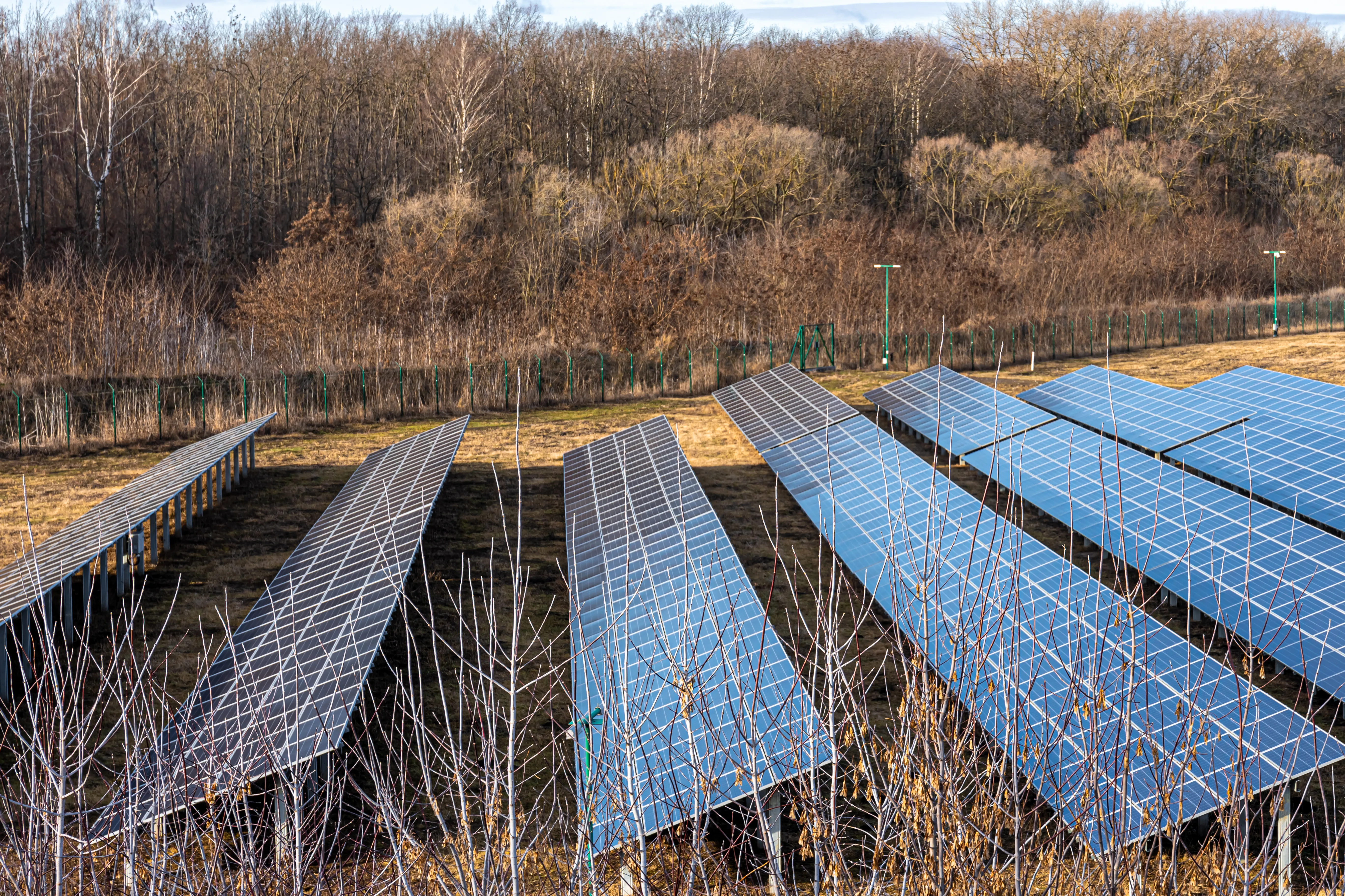 Panneaux photovoltaïques installés au sol dans un champ ensoleillé