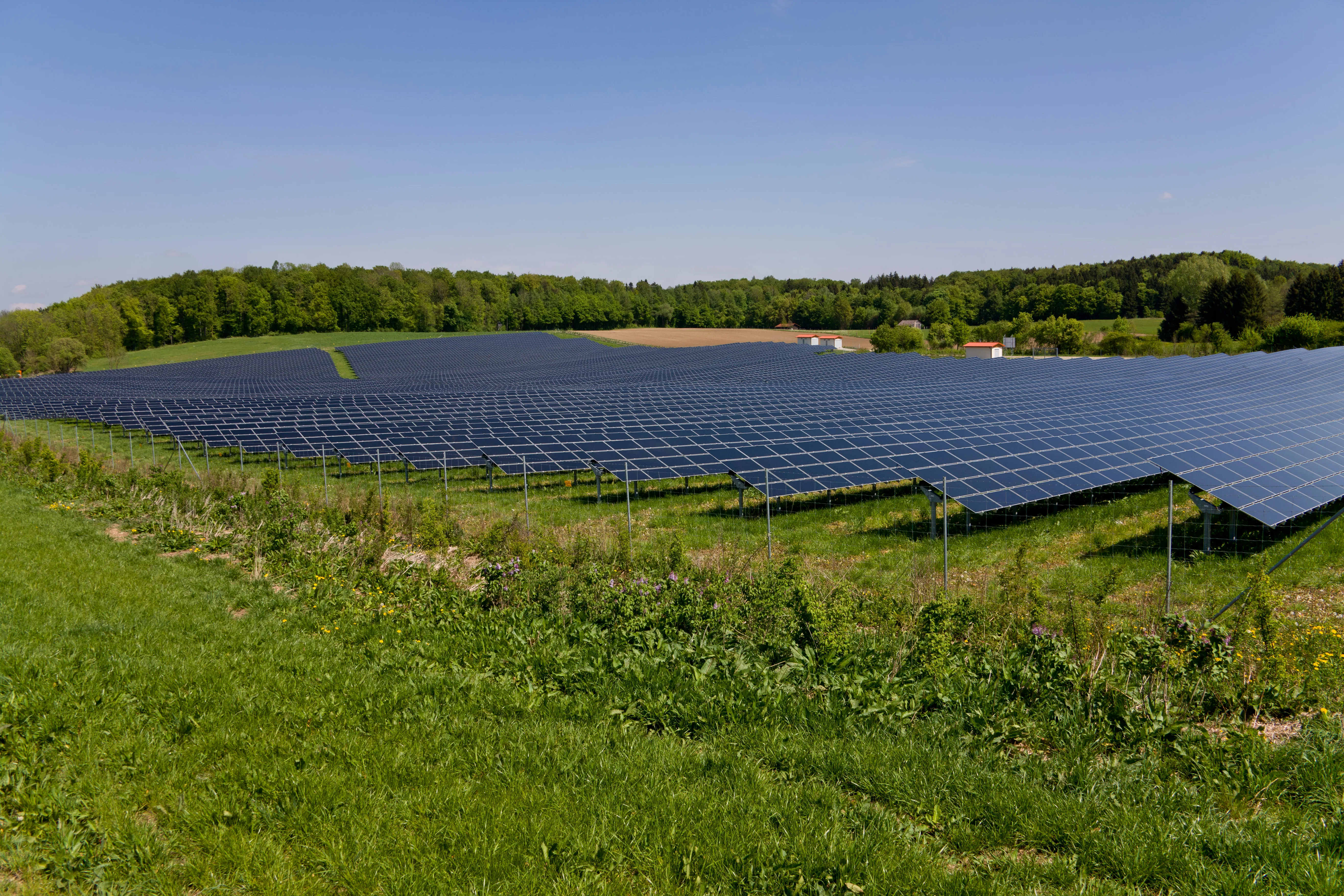 Champ de panneaux solaires en pleine nature, installation photovoltaïque au sol